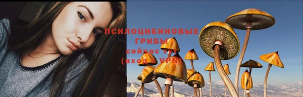 прущая мука Наволоки