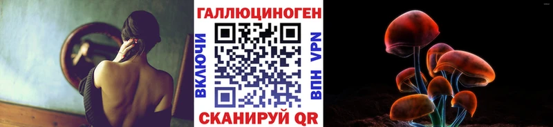 Галлюциногенные грибы Psilocybine cubensis  Купить закладки  Нововоронеж 
