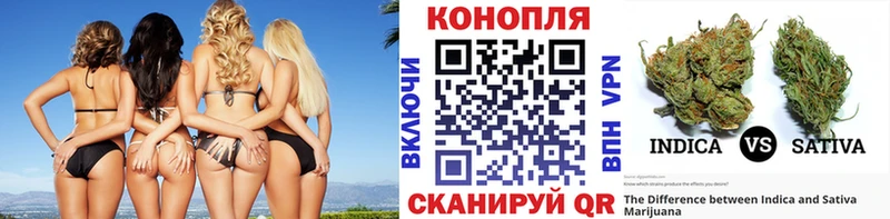 Каннабис White Widow  Купить закладки  Нововоронеж 